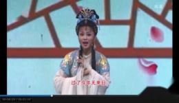 黄梅戏《梁祝》袁媛赵章伟宋庆联袂演绎，经典爱情戏曲在线下载下载