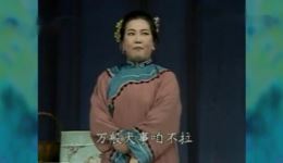 吕剧《小姑贤》林建华祝德英经典演绎，传统家庭喜剧在线下载