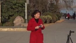 豫剧《辕门斩子》全场高清下载 - 葛海春陈先忠经典演绎下载