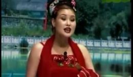 二人转正戏《崇祯观画》关晓飞张涛演唱 高清MP4戏曲视频下载下载