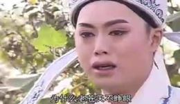 庐剧《二度梅》01集高清下载｜昂小红领衔主演，经典忠奸爱情大戏不容错过下载
