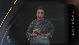 典藏京剧《芦荡火种》张燕霞马长礼演唱mp4下载，高清戏曲视频资源下载