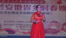 泗州戏《石榴开花红似火》选段“回娘家”在线下载，经典地方戏曲资源
