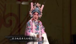 粉墨人生