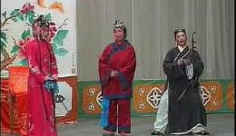 双婚配
