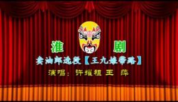 淮剧《卖油郎》王九娘带路片段赏析，许耀祖王萍精彩演绎，戏曲资源下载