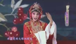 豫剧《抬花轿》片段下载 - 程海维演唱戏曲视频mp4资源 豫剧《抬花轿》片段下载 - 程海维演唱戏曲视频mp4资源