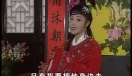 庐剧《恶毒姐姐伤心妹》06集mp4下载-戏曲视频资源，高清全集在线观看