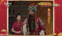 朱强反串京剧《大登殿》封箱戏，名家演绎国粹经典，跨行当创新呈现戏曲盛宴