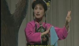 淮剧《皮五招亲》在线观看下载｜梁锦忠领衔主演 经典市井喜剧戏曲资源