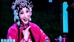 程桂兰演唱吕剧《王二小赶脚》戏曲视频下载,经典片段在线获取 程桂兰演唱吕剧《王二小赶脚》戏曲视频下载,经典片段在线获取