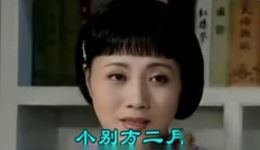 黄梅戏《啼笑姻缘》凤喜遭劫片段下载,经典唱段,高清音质 黄梅戏《啼笑姻缘》凤喜遭劫片段下载,经典唱段,高清音质