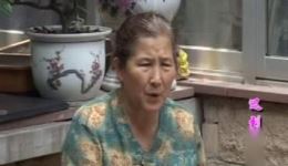 民间小调《迟到的彩礼》第2集高清mp4下载,沂蒙小调戏曲资源免费获取 民间小调《迟到的彩礼》第2集高清mp4下载,沂蒙小调戏曲资源免费获取