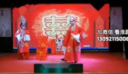淮剧《柳燕娘》选段在线下载宋国珍、王国俊精彩演绎