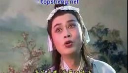 黄梅戏《天仙配》全剧下载 - 严凤英王少舫经典演绎高清资源下载