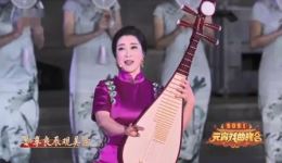 苏州评弹《临水观灯》高博文陆锦花联袂演绎，尽显江南雅韵，经典不容错过！下载
