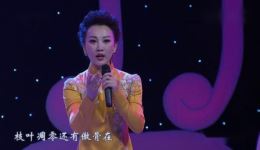 丁晓君演唱京歌《我伴梅花报春来》在线试听及高清下载下载