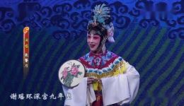 京剧《谢瑶环》选段在线观看，张馨月精彩演绎，经典戏曲不容错过下载