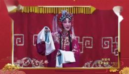 京剧反串《锁麟囊》选段下载，王洪玲封箱戏精彩演绎，经典戏曲不容错过下载