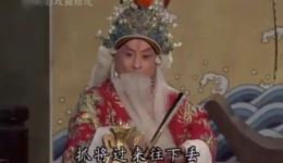 京剧《珠帘寨》孙岳郑引枝夏雪演唱视频mp4下载 - 经典戏曲资源下载
