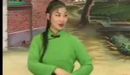泗州戏《小女婿》上集高清戏曲视频下载,经典剧目不容错过 泗州戏《小女婿》上集高清戏曲视频下载,经典剧目不容错过