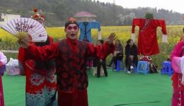 李调元赶花会