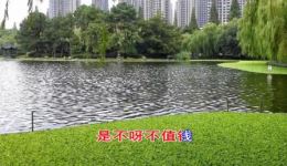罗英访贤