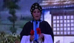 豫剧《三娘教子》下半场高清下载 - 阜阳市太和县玉园豫剧团精品剧目 豫剧《三娘教子》下半场高清下载 - 阜阳市太和县玉园豫剧团精品剧目