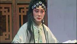 淮剧《赵五娘-吃糠殒命》选段 武丽娟经典演唱 凄美悲情戏曲在线下载