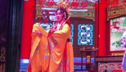 龙海市职业歌仔戏《深宫怨》太子闯宫全剧下载,高清完整版歌仔戏资源在线获取 龙海市职业歌仔戏《深宫怨》太子闯宫全剧下载,高清完整版歌仔戏资源在线获取