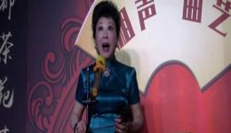 梅花大鼓《宝玉探病》罗香演唱选段 - 经典红楼梦曲艺资源下载