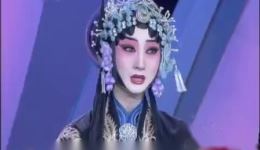 杨少彭、窦晓璇、李小培联袂演绎京剧《二进宫》选段，经典唱段精彩呈现下载
