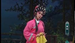 南宋孤鸿