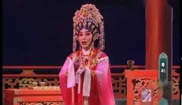 南宋孤鸿