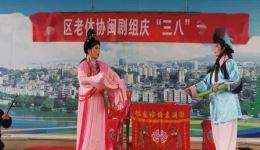 闽剧《柳毅传书》选场在线下载，敏英林秀精彩演绎，经典戏曲资源一键获取下载