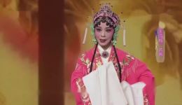 赵亚萍演绎豫剧《秦雪梅》经典片段，在线免费观看，感受传统戏曲魅力下载