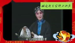京剧经典《武家坡》耿其昌魏海敏演唱，折子戏资源下载