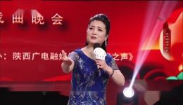 秦腔《洪湖赤卫队》选段李锦航演唱，经典戏曲在线收听下载下载