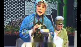 蒲剧《杀狗》全剧高清下载|经典家庭伦理戏曲资源在线观看 蒲剧《杀狗》全剧高清下载|经典家庭伦理戏曲资源在线观看
