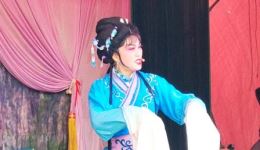 扬剧《三女拜寿》全剧下载 - 扬州市丁玉玲扬剧团经典演绎家庭伦理大戏下载