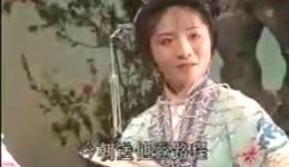 淮剧《双玉蝉》下集高清完整版下载 - 经典戏曲资源在线观看