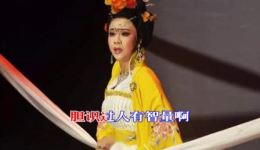 淮剧《赞貂蝉》选段下载 - 张云良华美琴经典演绎貂蝉智慧传奇