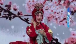 豫剧《风雪配》李淑丽精彩演绎，传统经典戏曲在线下载下载