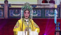 豫剧《打金枝》张梅主演 经典戏曲全场资源在线下载 豫剧《打金枝》张梅主演 经典戏曲全场资源在线下载