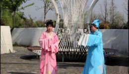 锡剧《珍珠塔》选段前园会经典锡剧选段，领略传统戏曲韵味