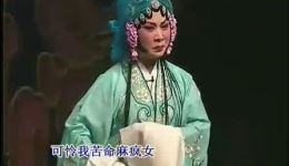 麻风女传奇
