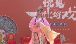豫剧《秦雪梅》进花园选段优秀青年仵凤琴精彩演唱，经典戏曲片段在线下载下载