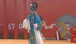 豫剧《泪洒相思地》选段国家二级演员吴德华深情演绎，重温经典爱情悲剧下载
