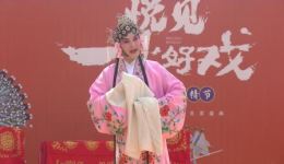 豫剧《秦雪梅》绣楼选段下载，优秀青年仵凤琴精彩演唱下载