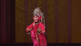 秦腔折子戏《柳公馆》李曼演唱，经典戏曲在线下载，领略传统秦腔魅力下载